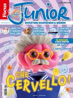 Focus Junior